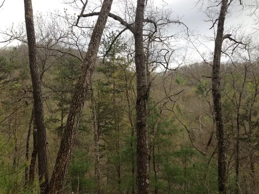 55 Greasey Creek Road, Murphy, NC 28906 - #3