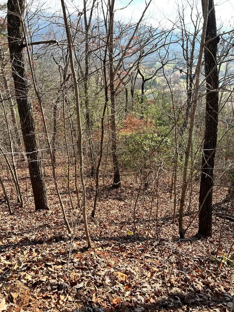 Lot 56C Indian Trail, Hayesville, NC 28904 - #1