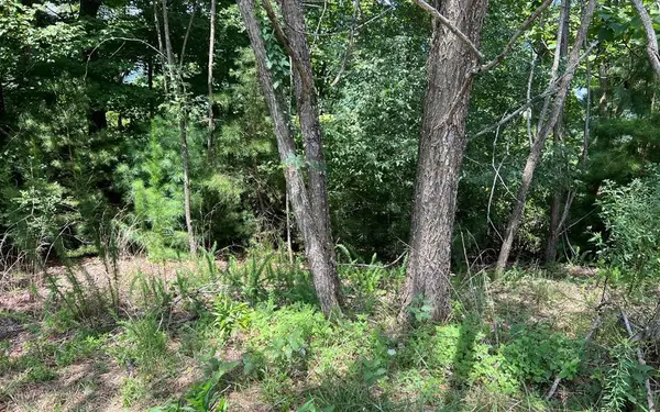 Lot 59 Fires Creek Cove, Hayesville, NC 28904