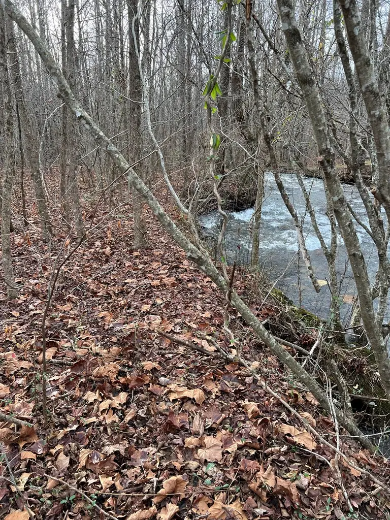 Lots 9, 10, 11, 15 & 17 Mary Lane, Hayesville, NC 28904 - #3