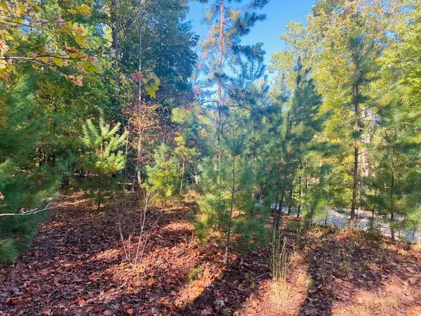 Lot 34 Point Overlook Trail, Murphy, NC 28906