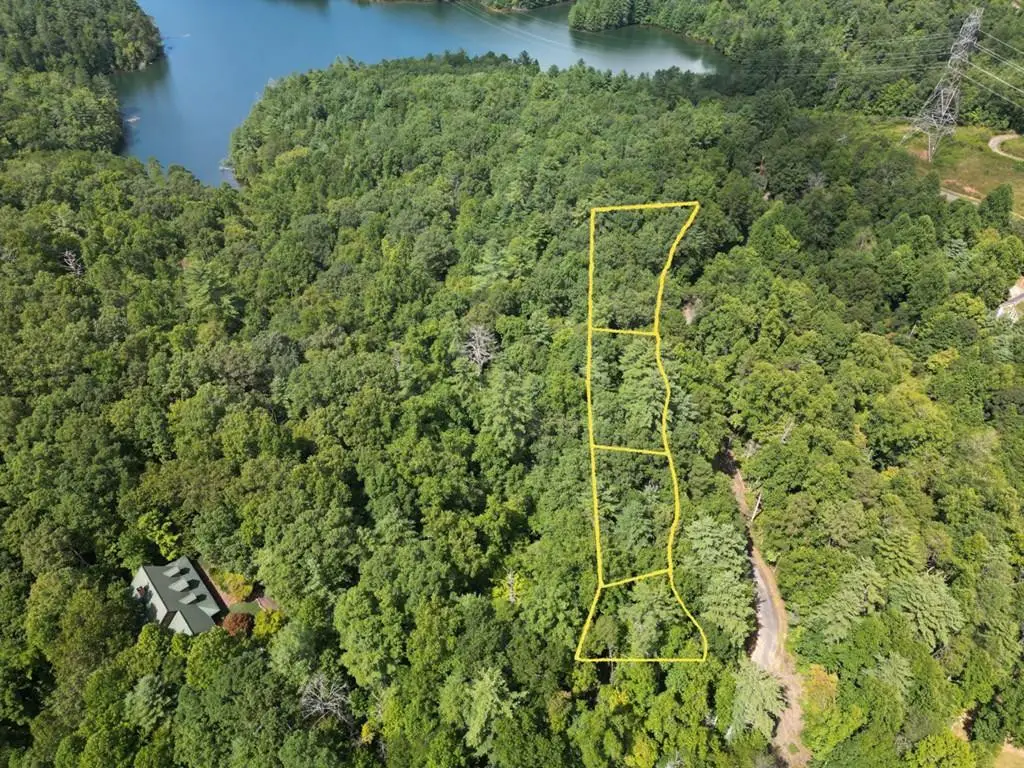 5,7,9,11 Dogwood Trail, Robbinsville, NC 28771 - #1