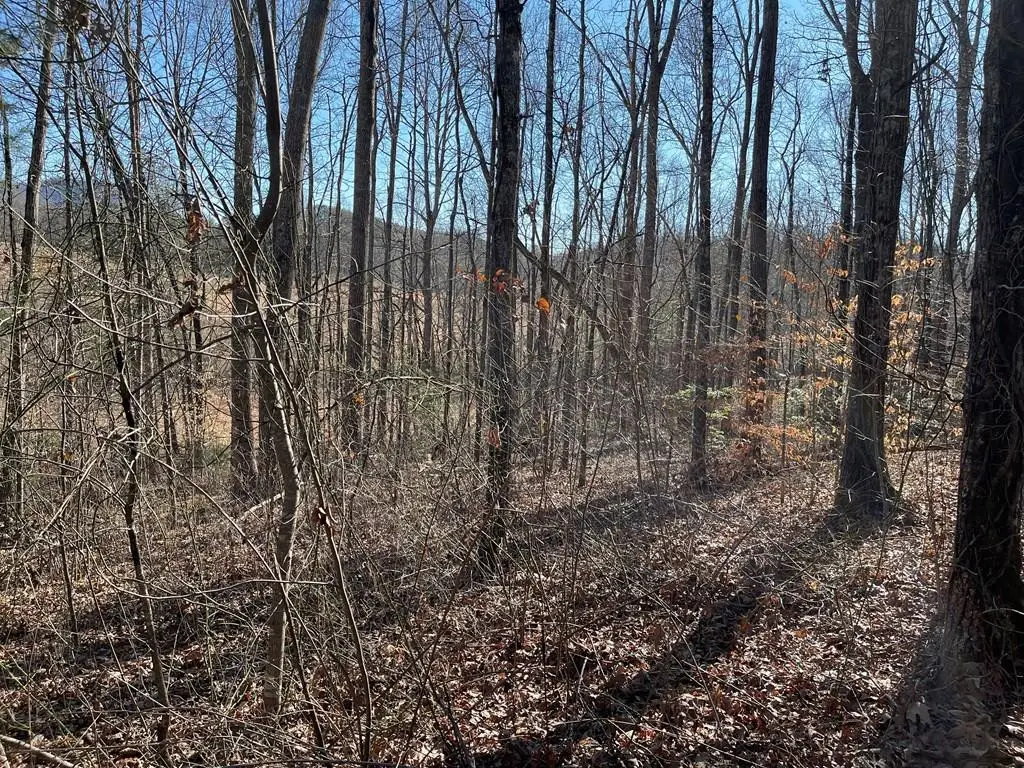 Lot #12E The Woodlands, Hayesville, NC 28904 - #1