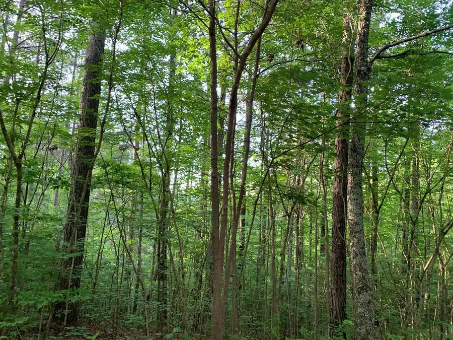 Lot 43 Kestrel Ridge Circle, Murphy, NC 28906 - #2