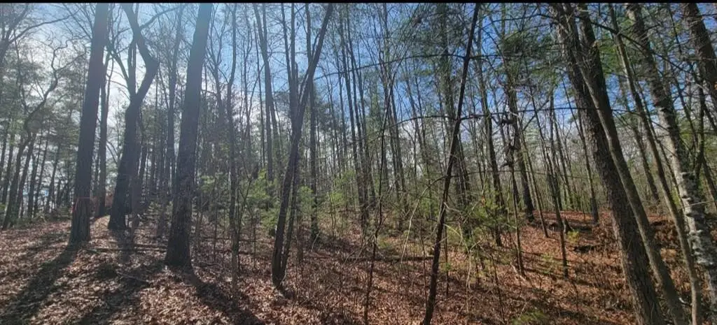 00 Headwaters Drive, Murphy, NC 28906 - #1