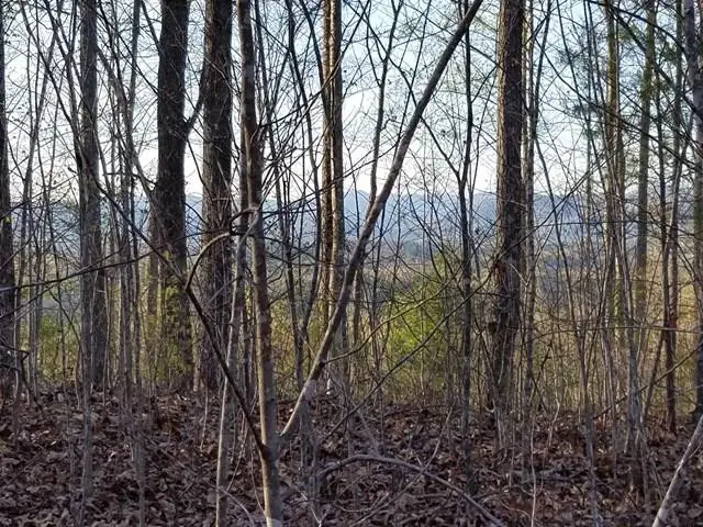 00 Dasali Way, Murphy, NC 28906 - #1