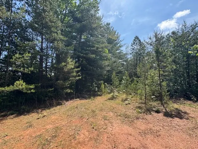 Lot 9 Paradise, Marble, NC 28905 - #3