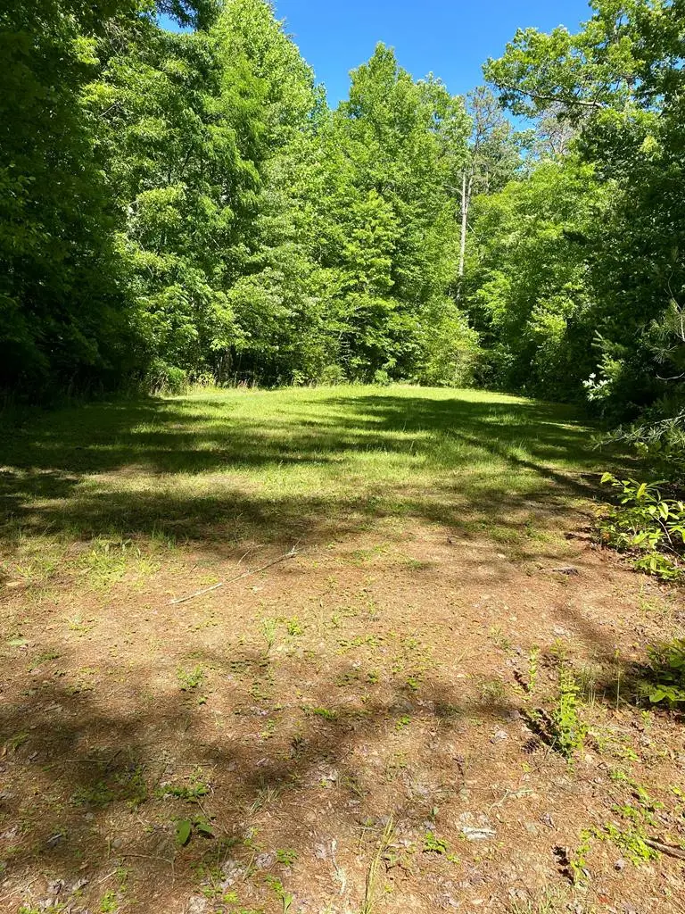 00 Deer Run, Robbinsville, NC 28771 - #1
