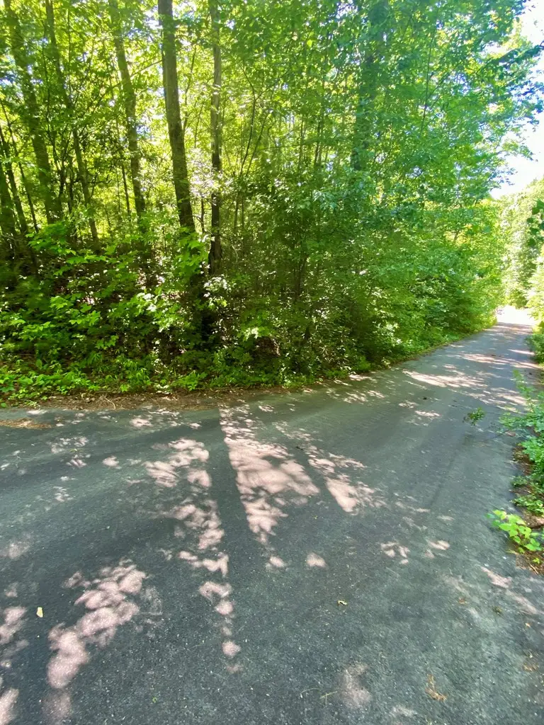 00 Deer Run, Robbinsville, NC 28771 - #2
