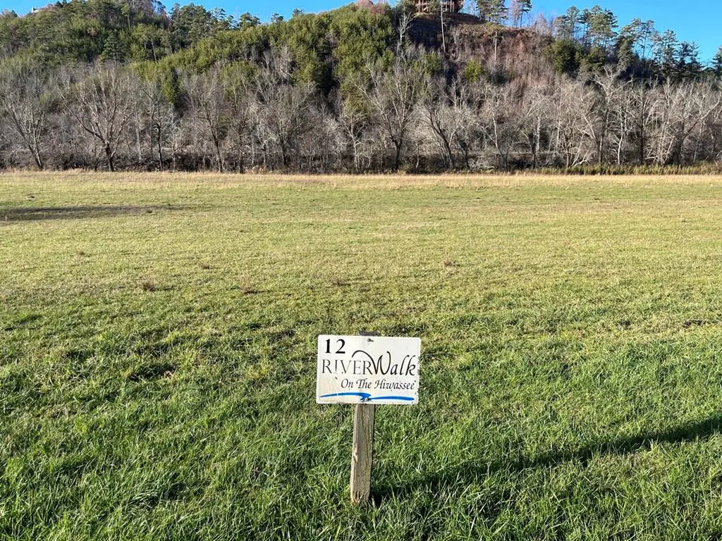 Lot 12 Harshaw Farm Drive, Murphy, NC 28906 - #1