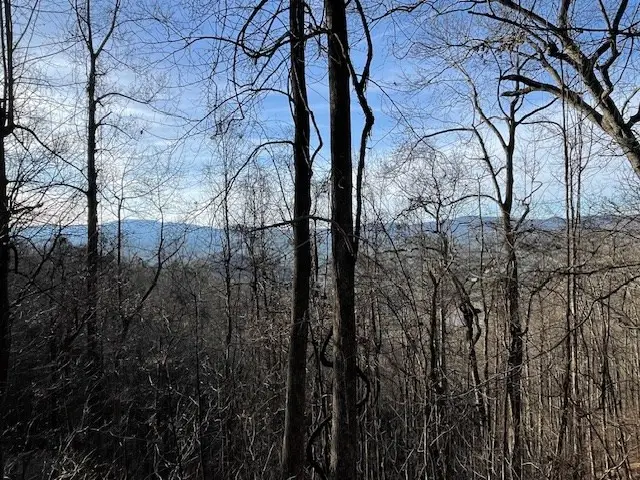 Lot 73 Hidden Treasure, Murphy, NC 28906 - #3