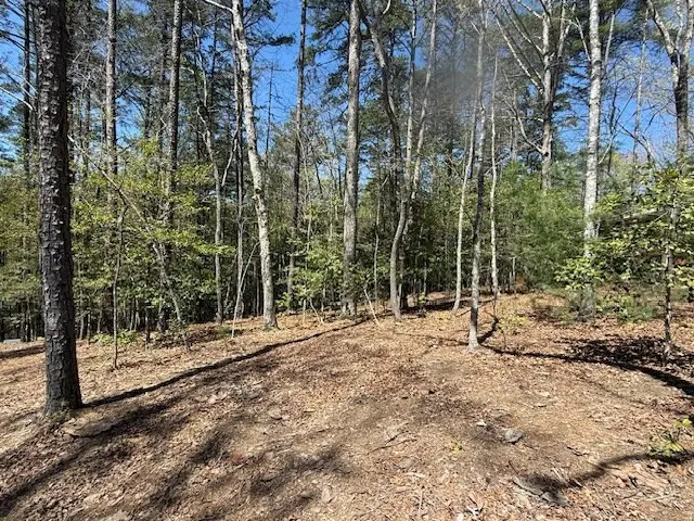 Lot 2 Lynae Lane, Murphy, NC 28906 - #3