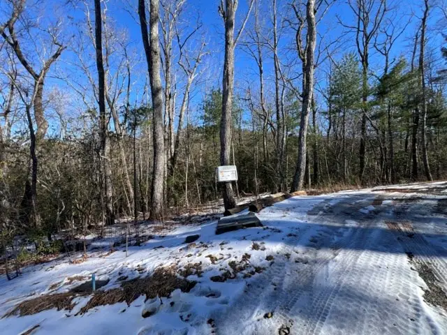Lot 10 Kennedys Court, Blairsville, GA 30512 - #3