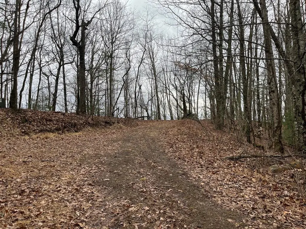 19 Lots Crockett, Hayesville, NC 28904 - #1