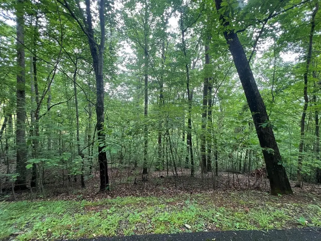 0 Ash Branch Circle, Hayesville, NC 28904 - #1