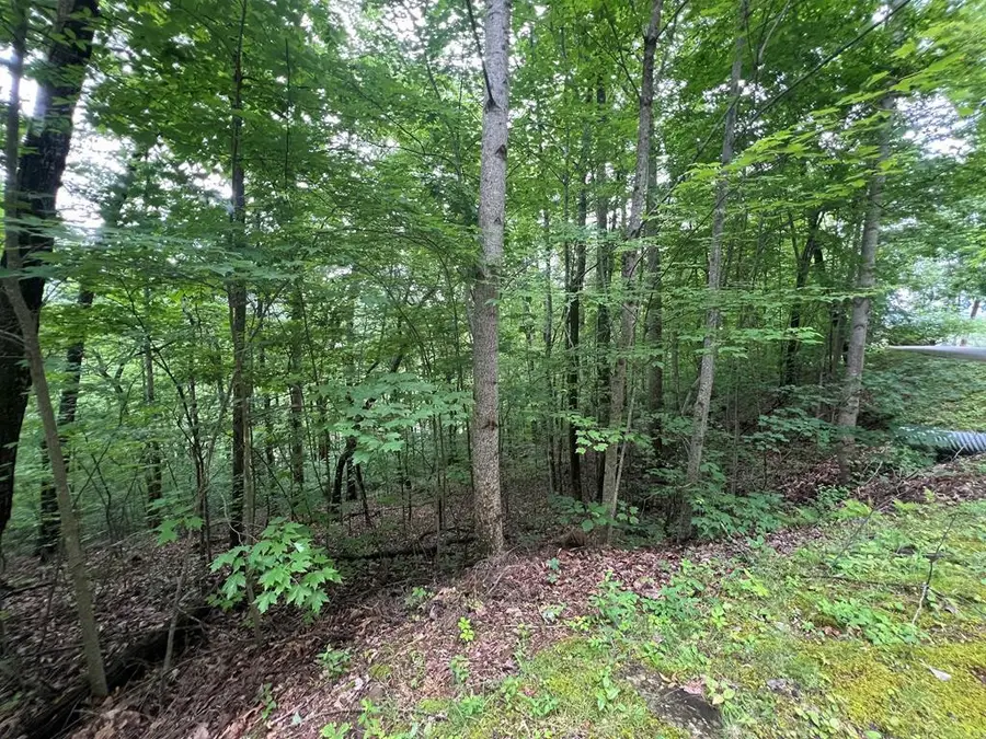 0 Ash Branch Circle, Hayesville, NC 28904 - #2