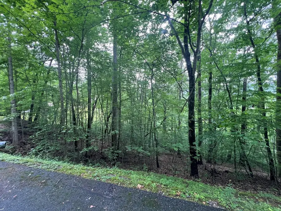 0 Ash Branch Circle, Hayesville, NC 28904 - #3