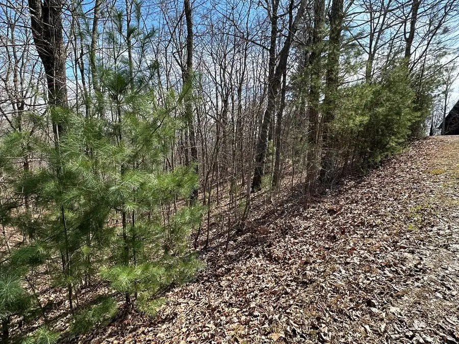 LT29 Wilderness Creek Way, Murphy, NC 28906 - #3