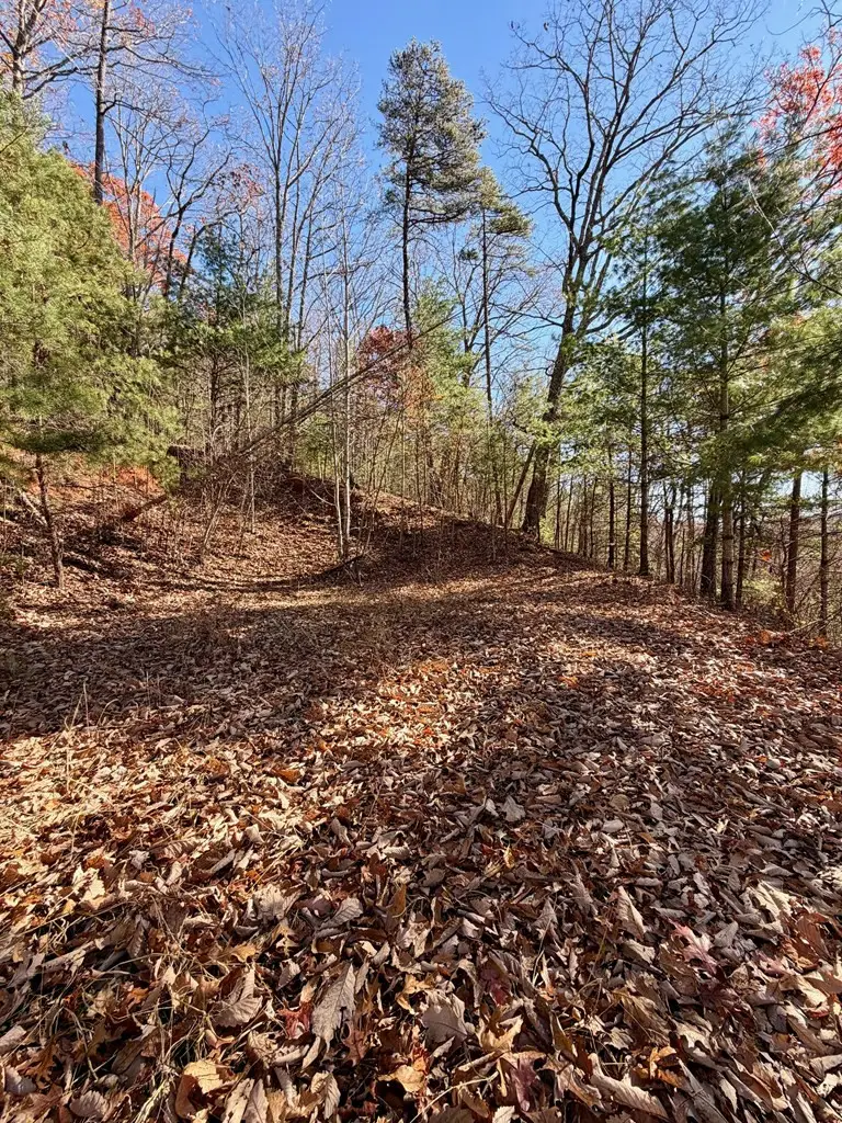 Lot #15 View Ridge Trail, Murphy, NC 28906 - #3