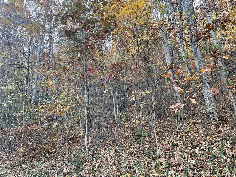 Lot 51J Indian Trail, Hayesville, NC 28904 - #2