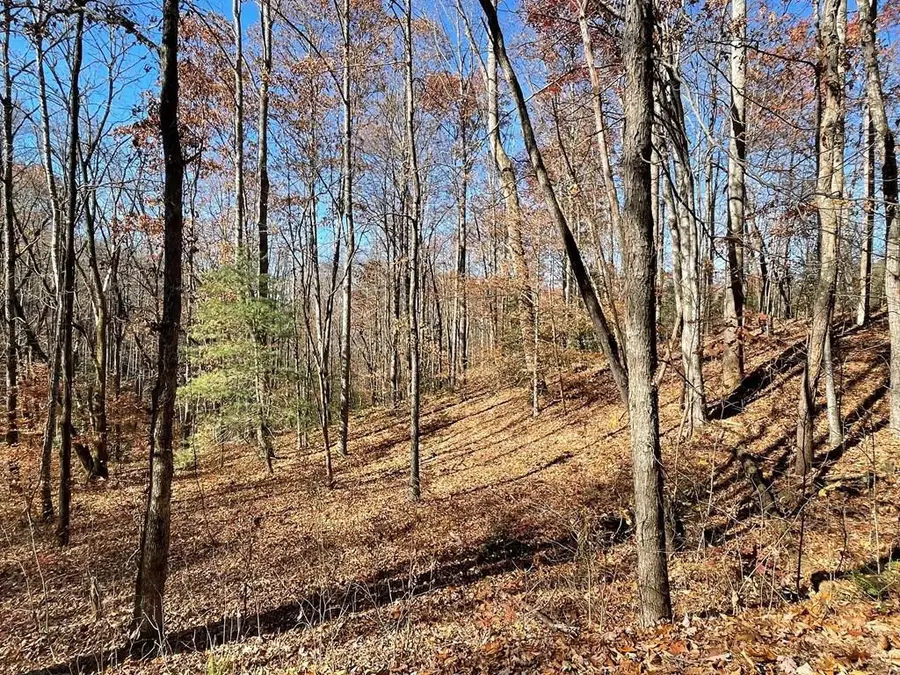 TBD Ashe Knob Drive, Hayesville, NC 28904 - #2