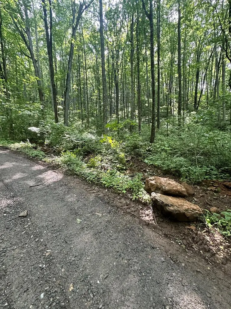 00 Burnt Leaf, Hayesville, NC 28904 - #1