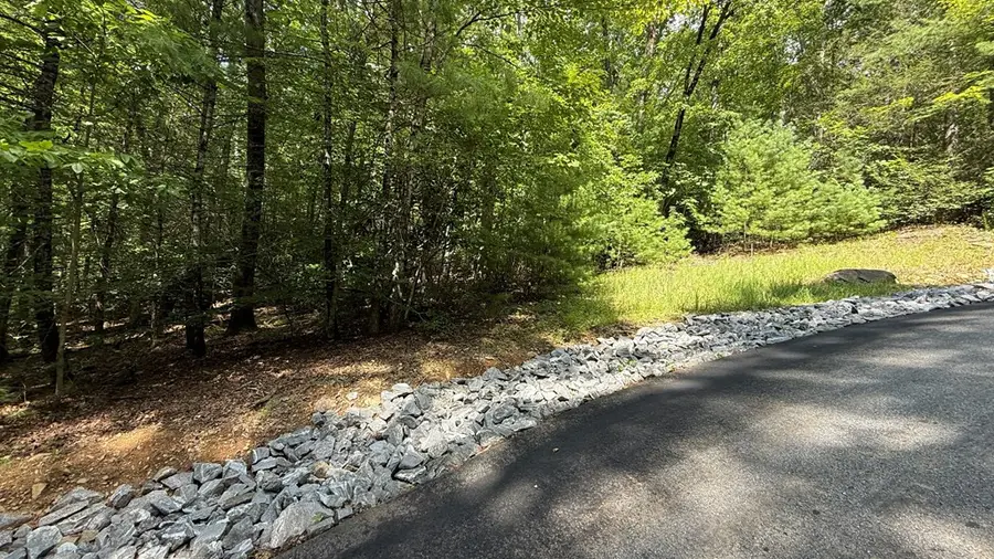 Lot 45 Granite Drive, Hayesville, NC 28904 - #2
