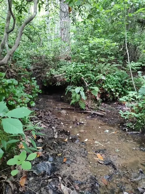 580 Overlook, Robbinsville, NC 28771 - #2