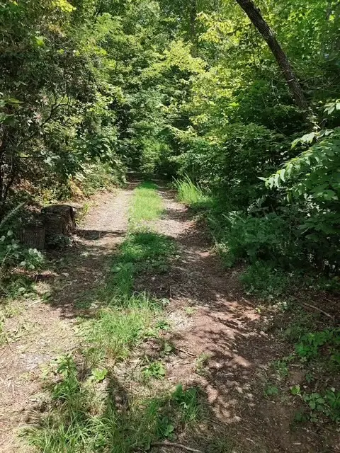 580 Overlook, Robbinsville, NC 28771 - #3