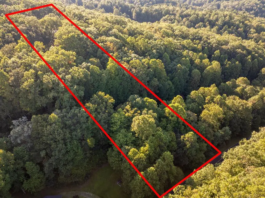 Lot 8 Madison Lane, Robbinsville, NC 28771 - #1