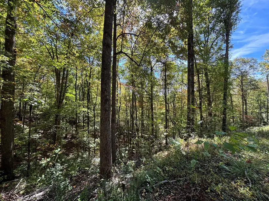 2 lots Holly Ridge Road, Nantahala, NC 28781 - #2