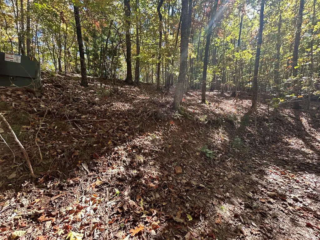 Lot 1 &2 Royal Oaks, Brasstown, NC 28902 - #1