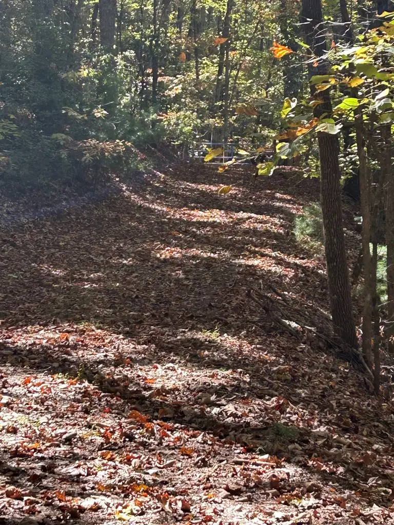 Lot 1 &2 Royal Oaks, Brasstown, NC 28902 - #2