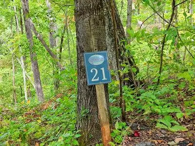 Lot 21 Skyview, Hayesville, NC 28904