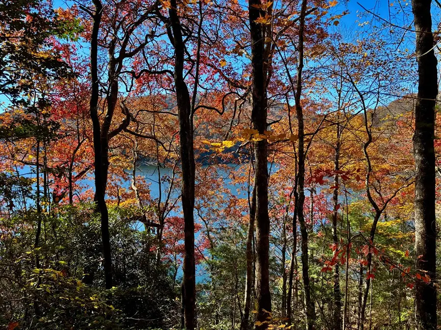 Lot#26 Lakeshore Drive, Nantahala, NC 28781 - #3
