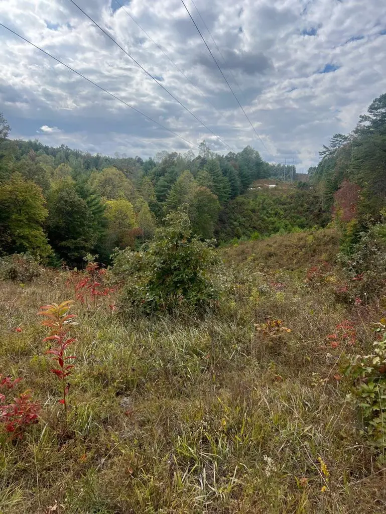 TBD John Taylor Road, Murphy, NC 28906 - #1