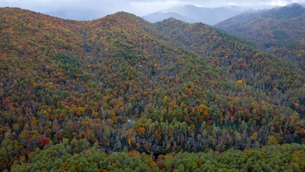 139 Land Iu Gap Road, Robbinsville, NC 28771 - #1