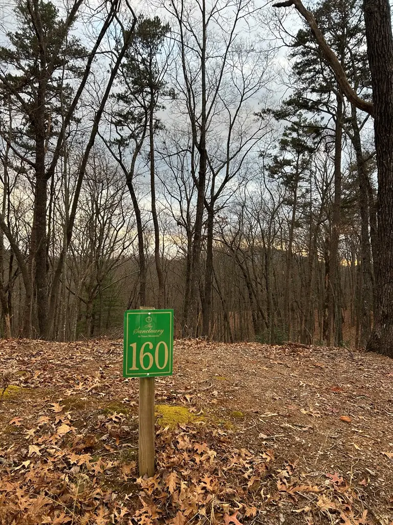 0 Tracks Hollow, Murphy, NC 28906 - #2