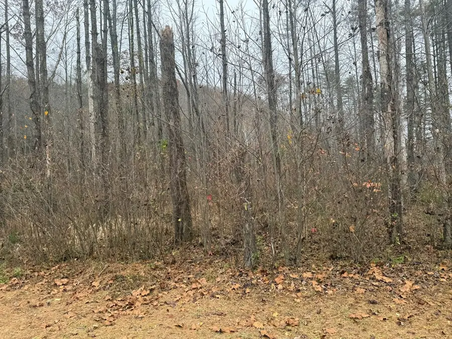 0 Rushing Water Trail, Hayesville, NC 28904 - #3