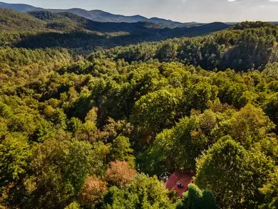 541 Mountain View Circle, Cherry Log, GA 30522 - #3
