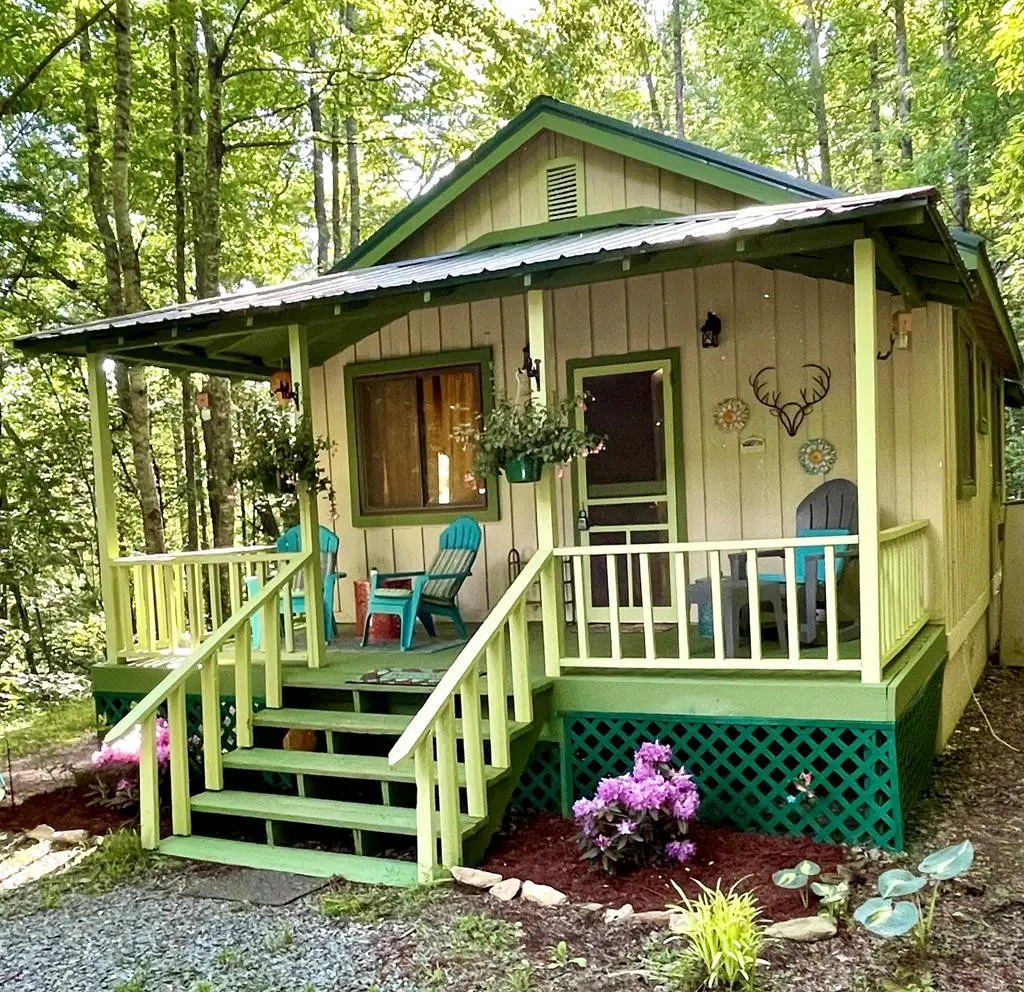 180 Valley Lane, Bryson City, NC 28713 - #1