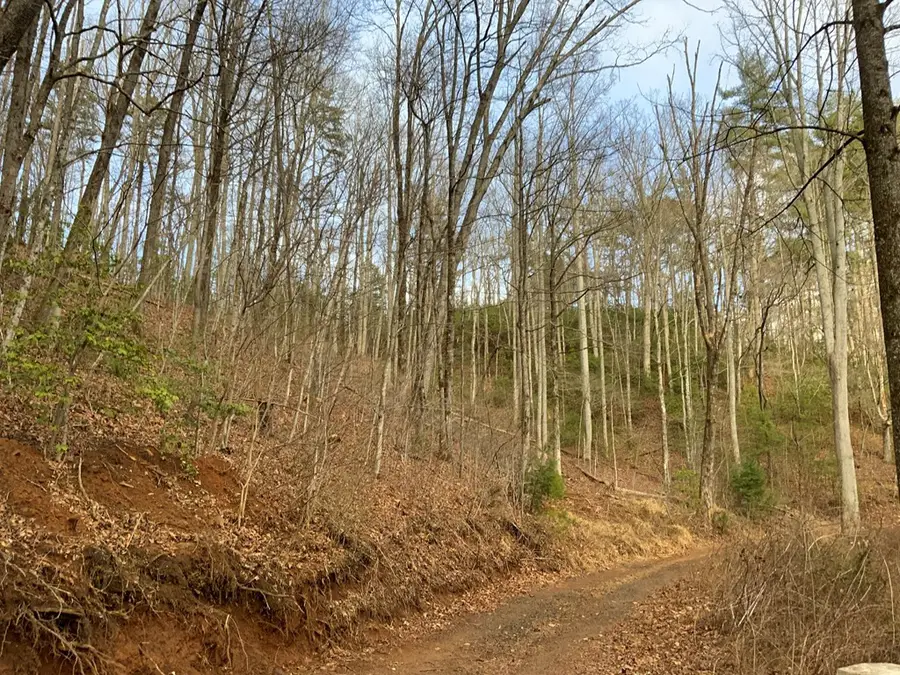 Lot 13 Ivy Log Road, Murphy, NC 28906 - #3