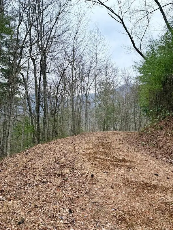 46/51 Big Secret Lane, Murphy, NC 28906