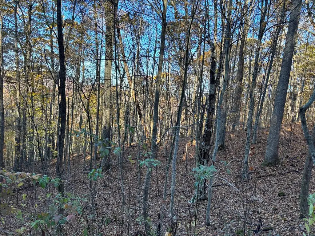 Lot#39 Falcon Stone Ridge, Nantahala, NC 28781 - #1