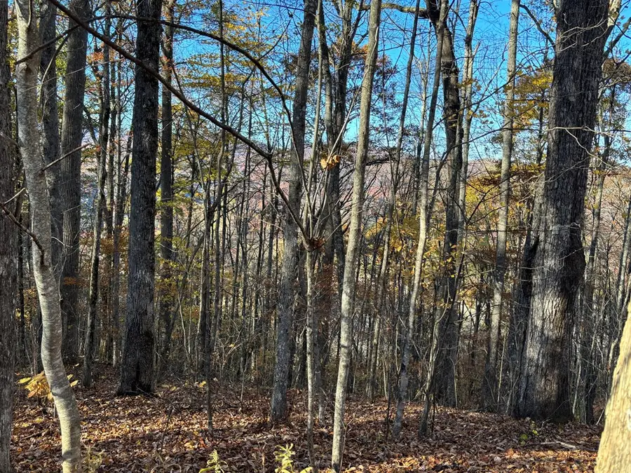 Lot#39 Falcon Stone Ridge, Nantahala, NC 28781 - #3