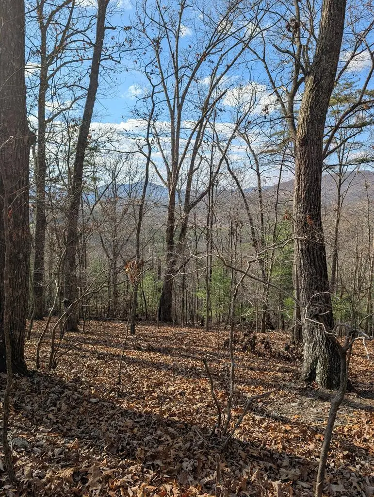 902 Mountain Top Drive, Murphy, NC 28906 - #2