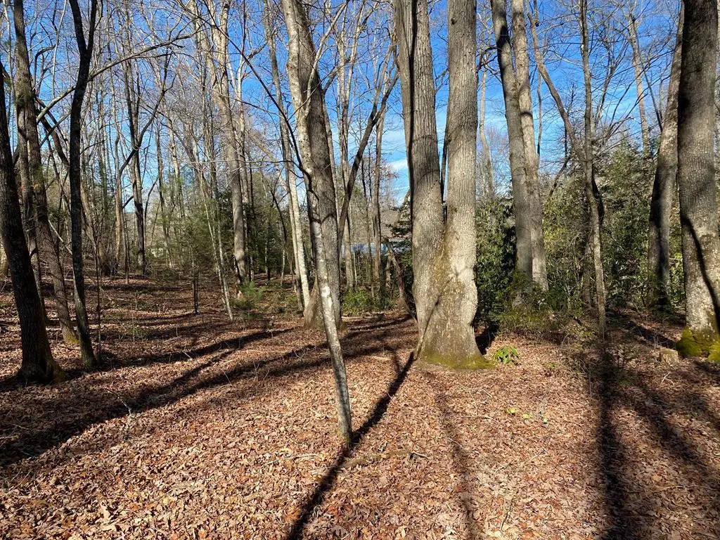 TBD Collett Wood Cove, Andrews, NC 28901 - #1
