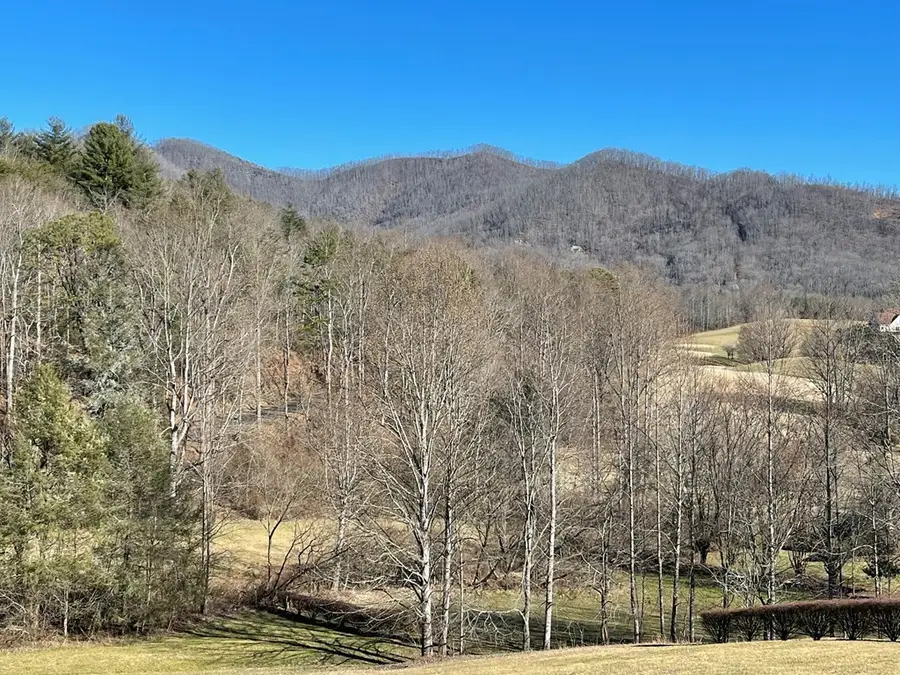 Lot 21C Ash Branch Circle, Hayesville, NC 28904 - #3