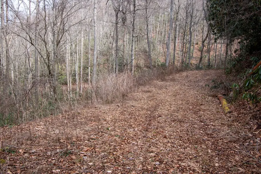 00 Walnut Cove Branch, Robbinsville, NC 28771 - #3