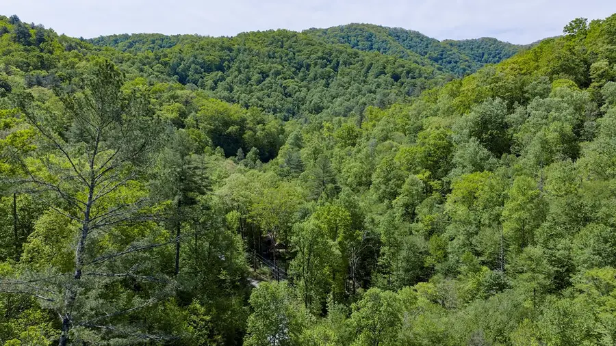 4700 W Buffalo Road, Robbinsville, NC 28771 - #2